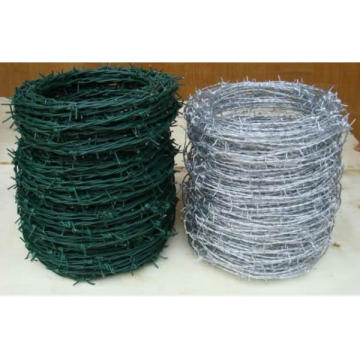 Hot Sale Galvanized Barbed Wire